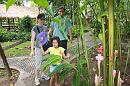 img_1218 * 1200 x 800 * (218KB)