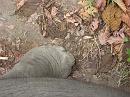 img_1267 * 1200 x 900 * (185KB)