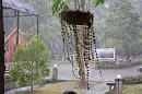 img_1269 * 1200 x 800 * (131KB)