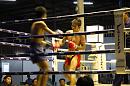 img_1380 * 1200 x 800 * (120KB)