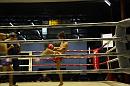 img_1399 * 1200 x 800 * (115KB)
