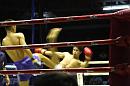 img_1474 * 1200 x 800 * (91KB)
