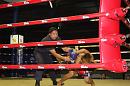 img_1524 * 1200 x 800 * (116KB)