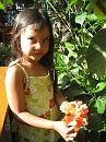 img_1534 * 768 x 1024 * (147KB)