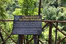 img_1580 * 1200 x 800 * (243KB)