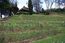 img_1591 * 1200 x 800 * (249KB)