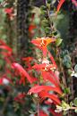 img_1594 * 800 x 1200 * (92KB)
