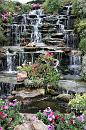 img_1619 * 800 x 1200 * (271KB)