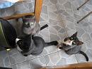 img_1632 * 1200 x 900 * (129KB)