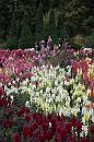 img_1646 * 800 x 1200 * (256KB)