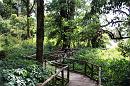 img_1669 * 1200 x 800 * (268KB)