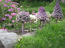 img_1680 * 1200 x 900 * (248KB)