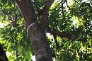 img_1705 * 1200 x 800 * (172KB)