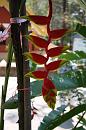 img_1746 * 800 x 1200 * (110KB)