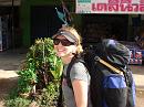 img_1943 * 1200 x 900 * (180KB)