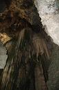 img_2151 * 1200 x 800 * (130KB)