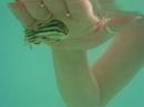 img_2381 * 1200 x 900 * (49KB)