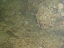 img_2395 * 1200 x 900 * (112KB)