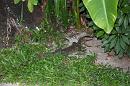 img_2527 * 1200 x 800 * (176KB)