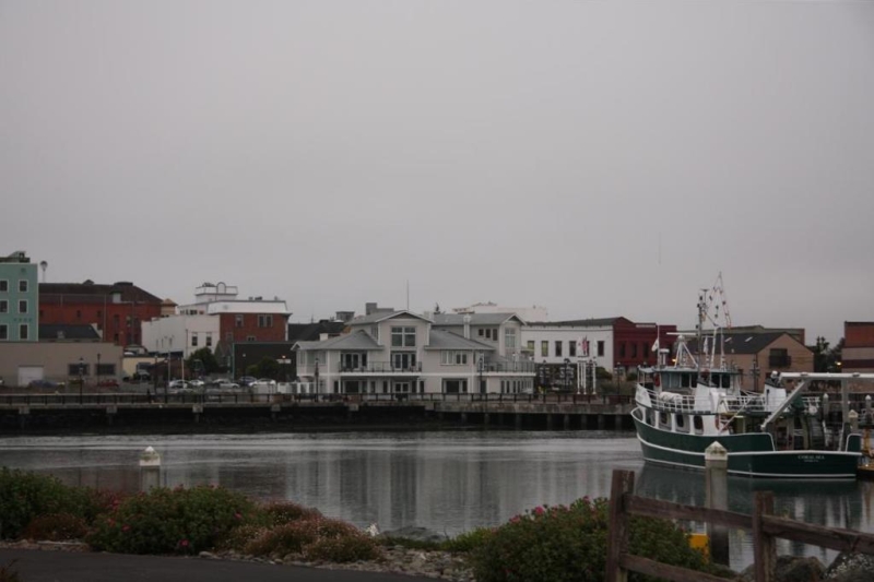img_1279_ct.jpg