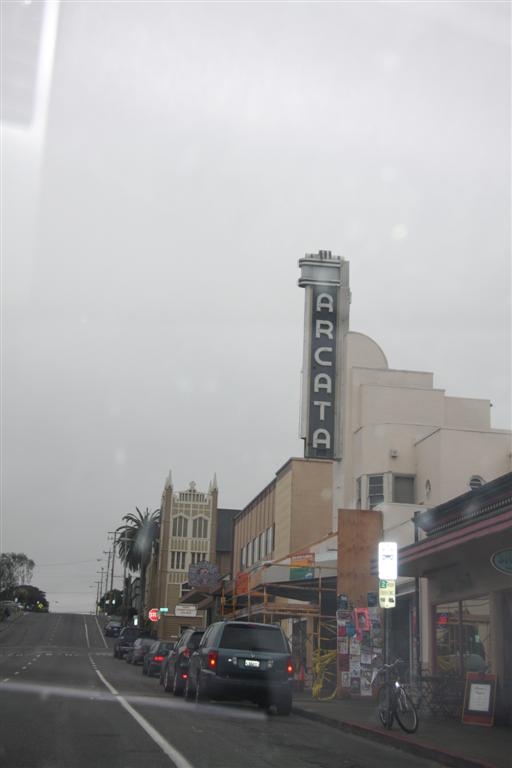 img_1294_ct.jpg