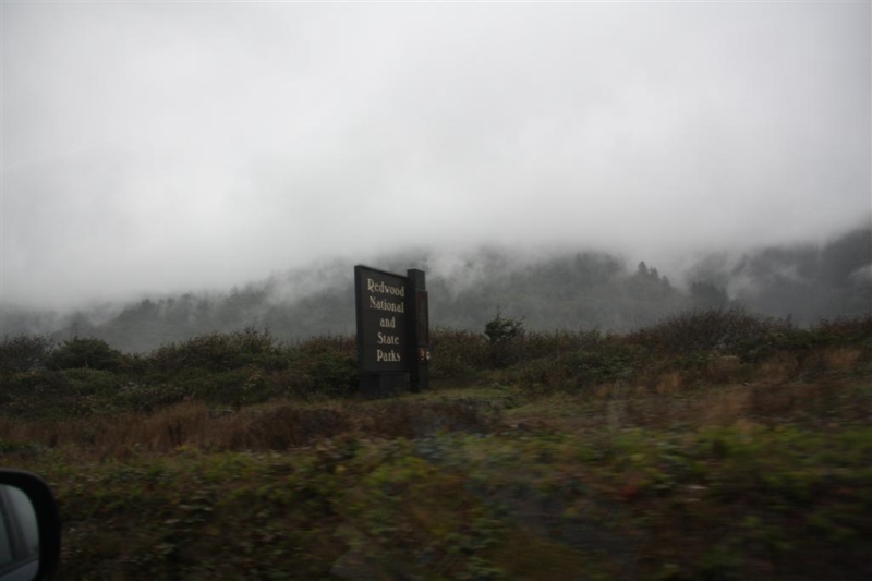 img_1296_ct.jpg